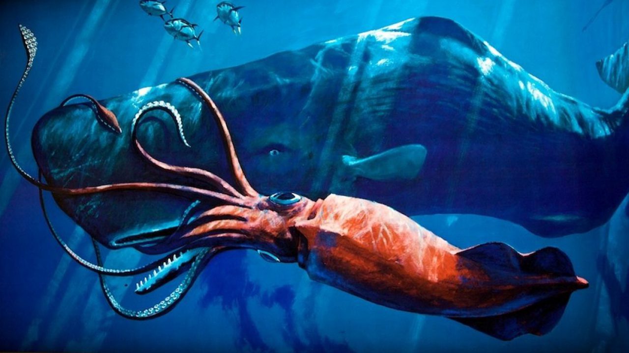 21 Misteri Besar Yang Masih Tersembunyi Di Dalam Samudra Blog Unik
