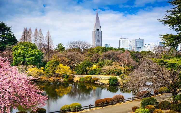 Wisata Terfavorit Di Jepang - Shinjuku Gyoen