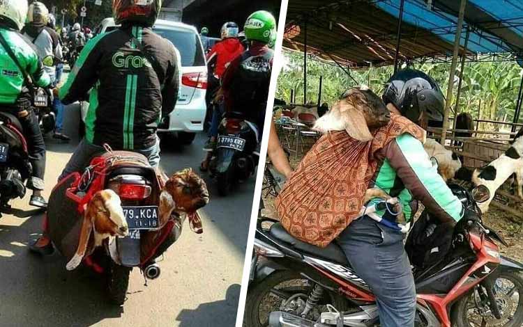 Pesanan aneh yang pernah diantar ojek online