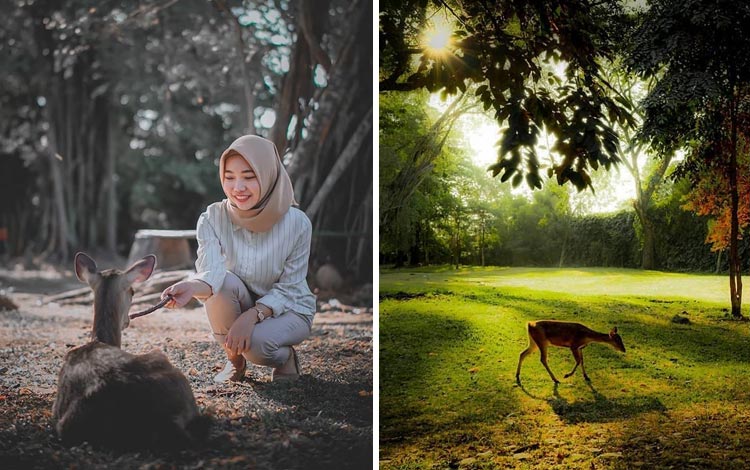 Tempat Wisata Terpopuler Di Solo - Taman Balekambang Surakarta