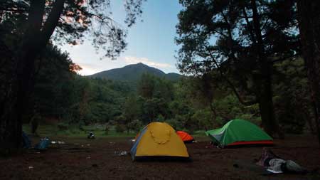 Tempat Camping Terbaik Di Bogor - Perkemahan Ciputri Tenjolaya