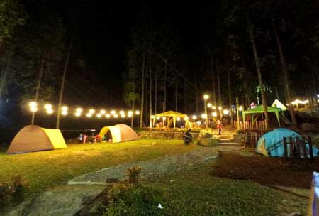 Tempat Camping Terbaik Di Bogor - Perkemahan Citamiang