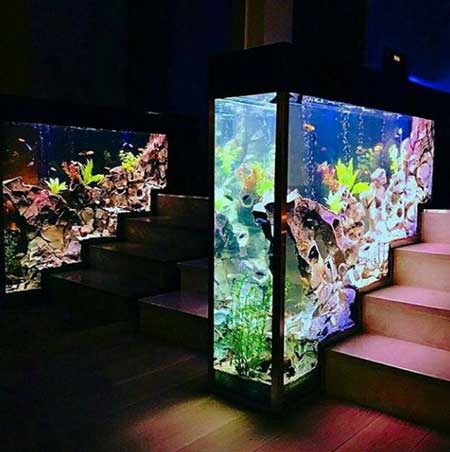 Inspirasi Aquarium Yang Bagus Dan Keren