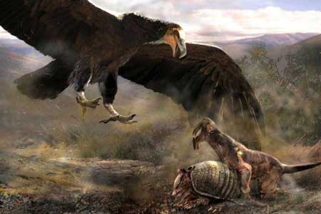 Fakta-Seputar-Argentavis-Magnificens