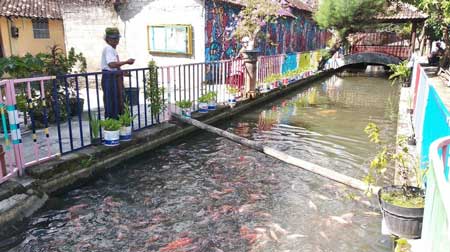 6 Kampung di Indonesia Berhasil Mengubah Selokan Kotor - Kampung Gedongkiwo