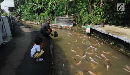 6 Kampung di Indonesia Berhasil Mengubah Selokan Kotor - Kampung Naringgul, Bogor