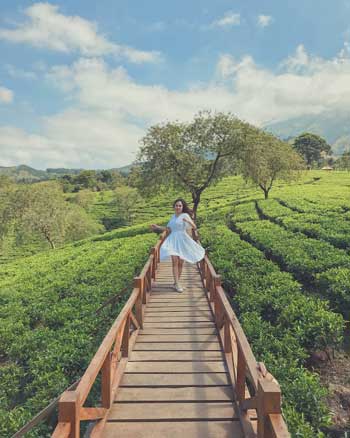 Tempat Wisata Malang Terbaru Dan Terpopuler - Kebun Teh Wonosari