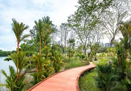 Tempat Wisata Singapura Terbaru 2020 Yang Lagi Hits - Jurong Lakeside Garden