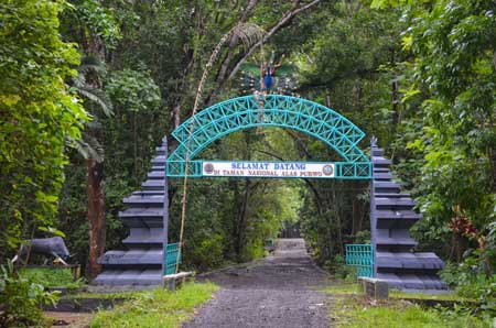 Tempat Wisata Paling Angker Di Indonesia - Taman Nasional Alas Purwo