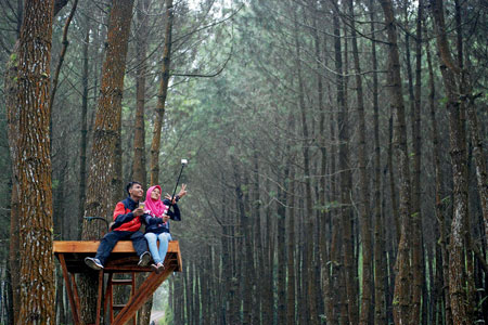 Tempat Wisata Pacitan Terbaru