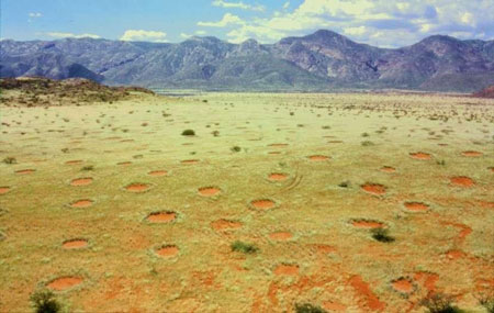 Fakta seputar Fairy Circles di Namibia