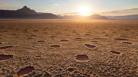 Fakta seputar Fairy Circles di Namibia