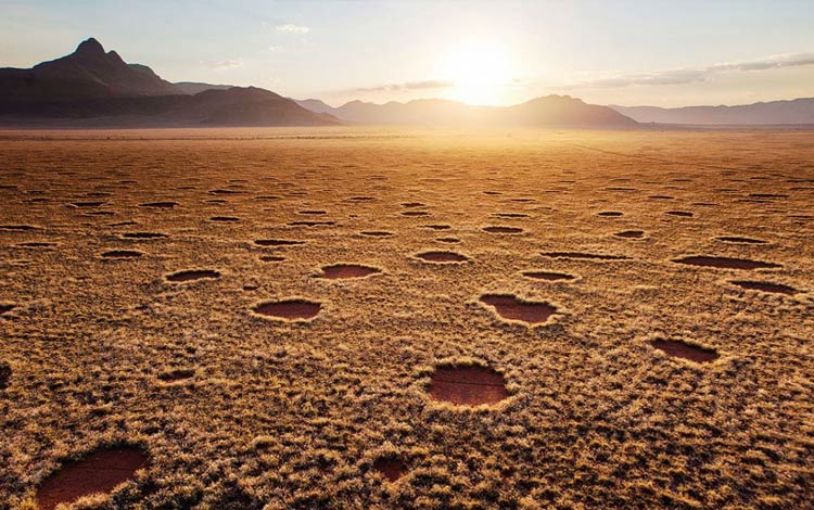 Fairy Circles Namibia