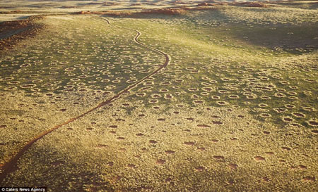 Fakta seputar Fairy Circles di Namibia