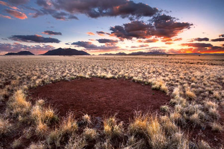 Fakta seputar Fairy Circles di Namibia