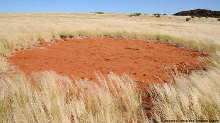 Fakta seputar Fairy Circles di Namibia