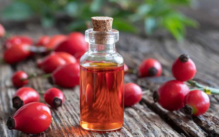 Merk Rosehip Oil Terbaik